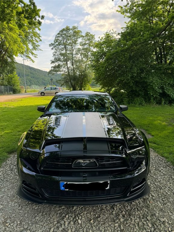 Mustang