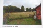 Einfamilienhaus Moringen - 325.000&euro; | Angebot:26199957