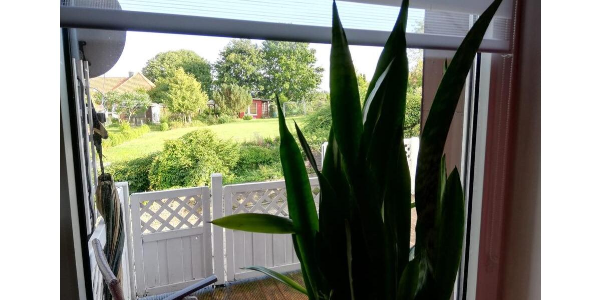 3 Zimmer Wohnung in Northeim Hollenstedt 3 zimmer