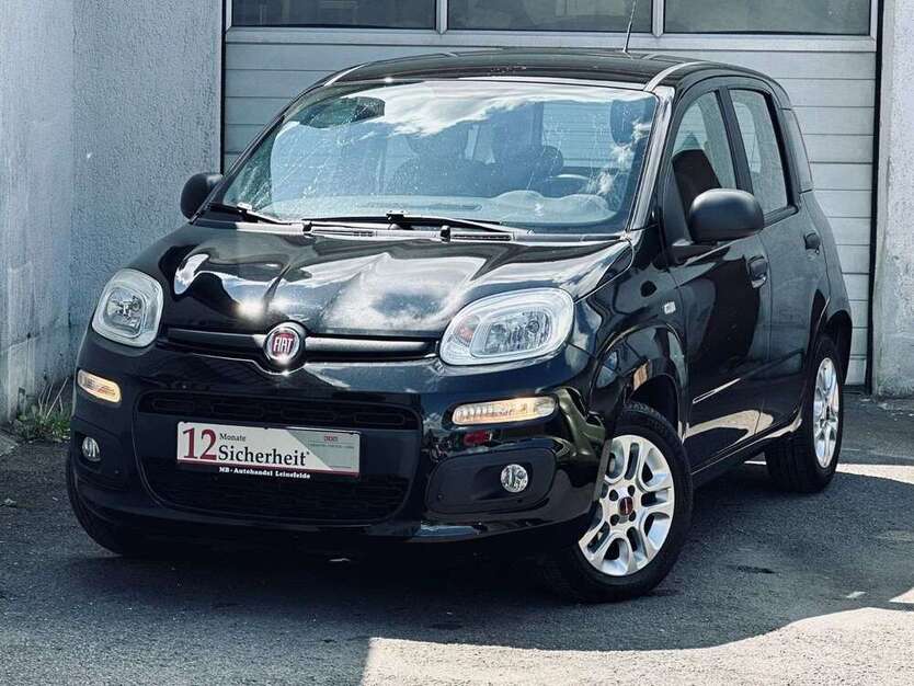 Panda