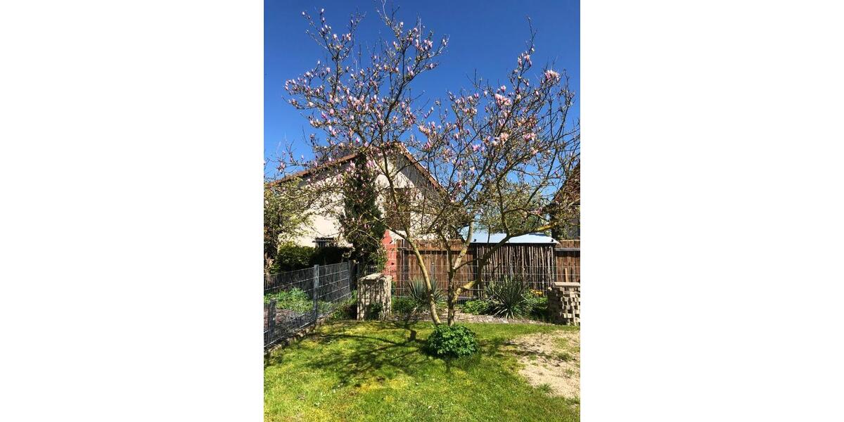 Einfamilienhaus Bovenden - 5 Zimmer, 135 m&sup2;, 1.485&euro; | Angebot:25768985