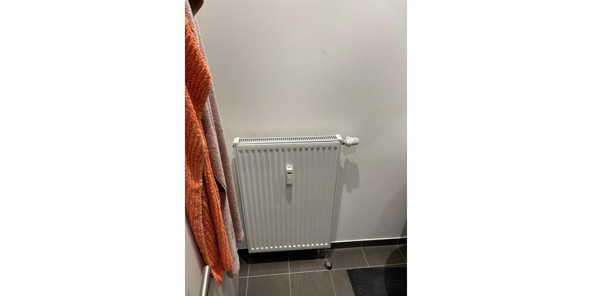 Dachgeschoßwohnung Hann. Münden - 1 Zimmer, 20 m&sup2;, 350&euro; | Angebot:26406968