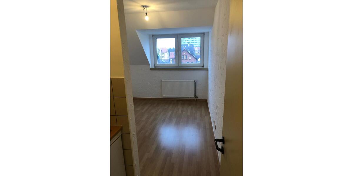 Gemütliches 1-Zimmer-Apartment in direkter Campusnähe (ca. 17 m²) 1 zimmer
