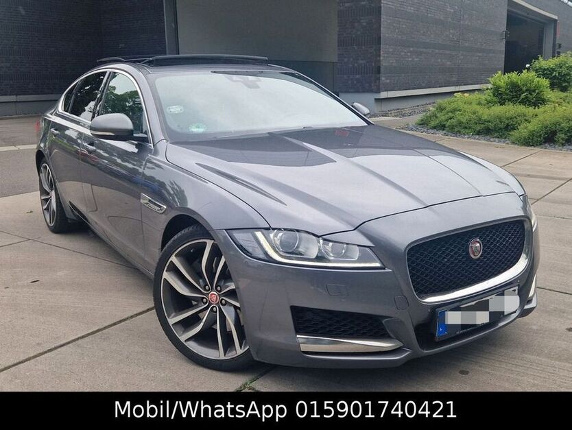 XF