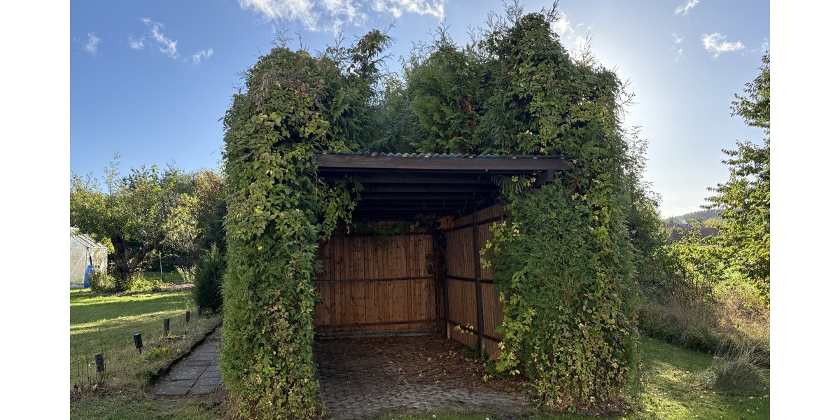 Gemütliche Eigentumswohnung mit Garage, Carport, Garten und herrlichem Blick ins Grüne in Bornhagen - Erdgeschoßwohnung Bornhagen | Angebot:24863855