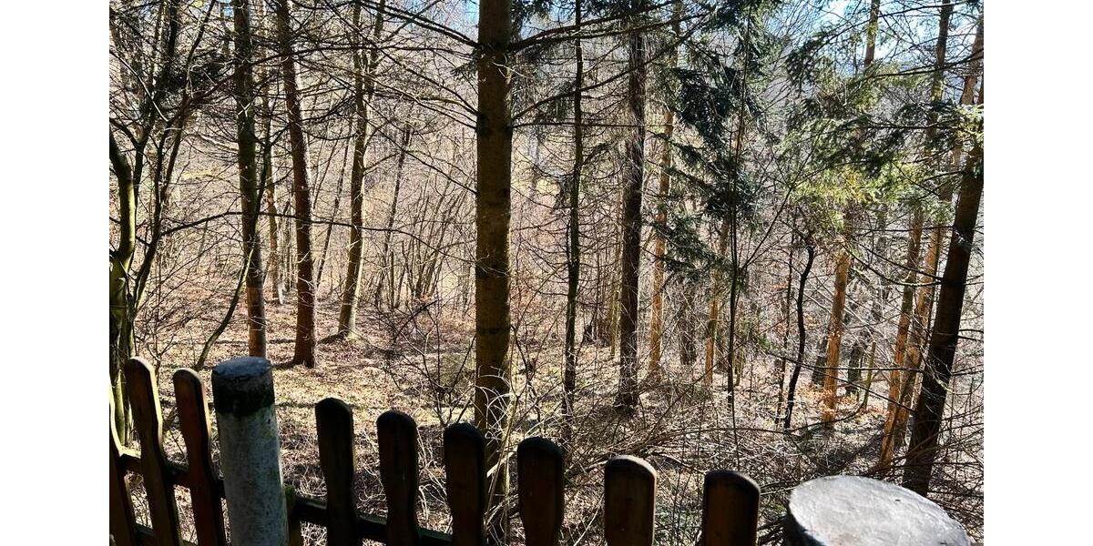 Einfamilienhaus Hardegsen - 4 Zimmer, 70 m&sup2;, 225.000&euro; | Angebot:25235417