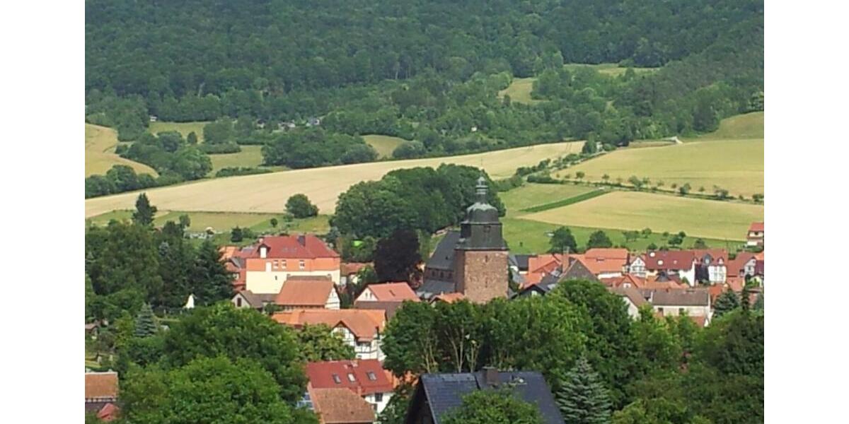 Villa Heilbad Heiligenstadt - 17 Zimmer, 600 m&sup2;, 210.000&euro; | Angebot:25783930