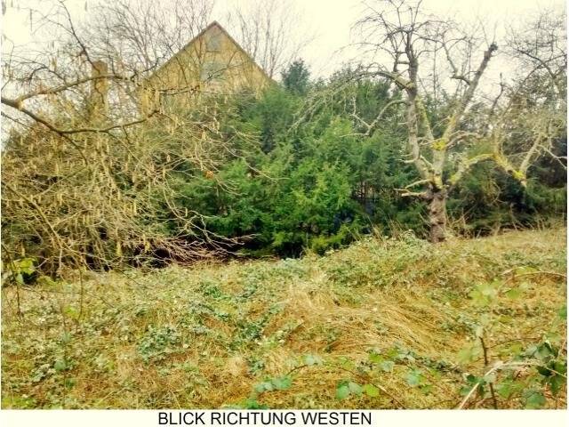 Großes Grundstück für Investor oder Großfamilie zimmer