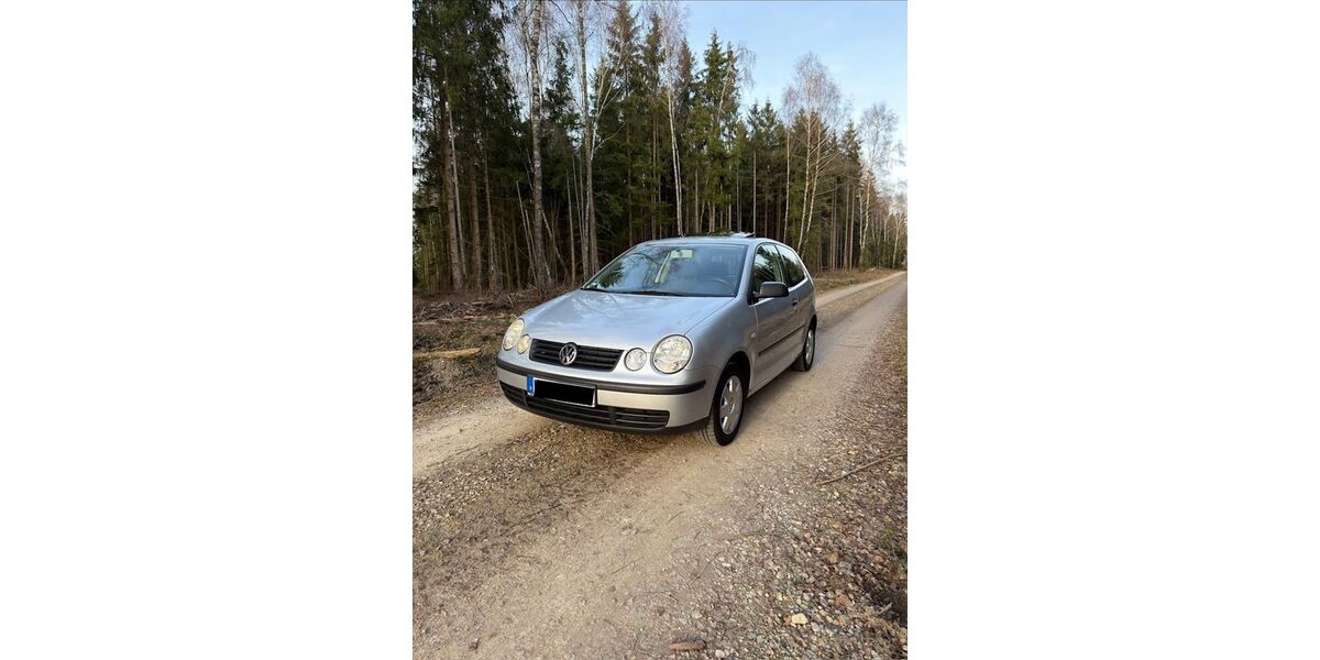 VW Polo 135.000 km 1.380 &euro; Gieselwerder 34399