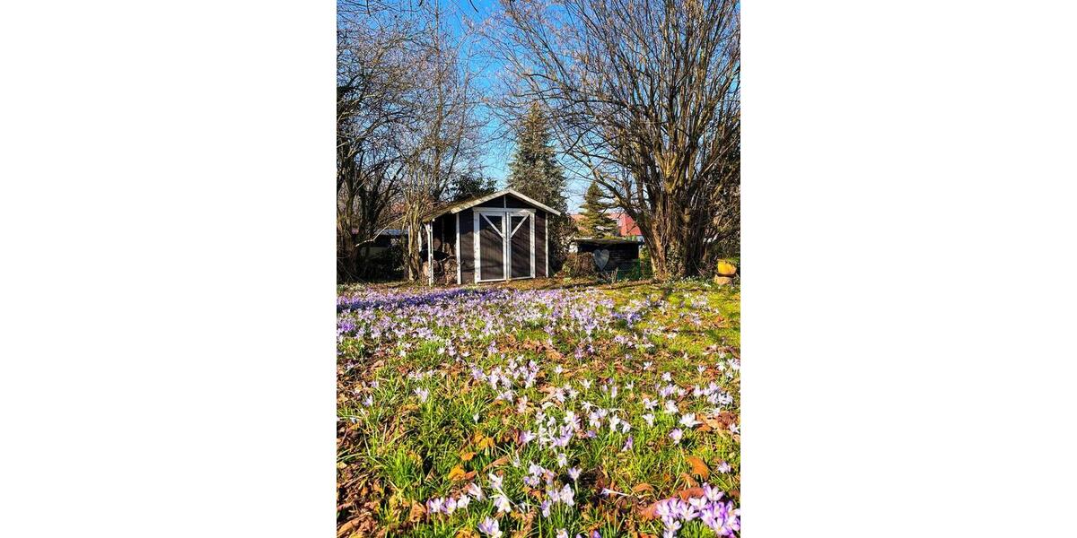 Einfamilienhaus Witzenhausen - 10 Zimmer, 220 m&sup2;, 220.000&euro; | Angebot:26162367