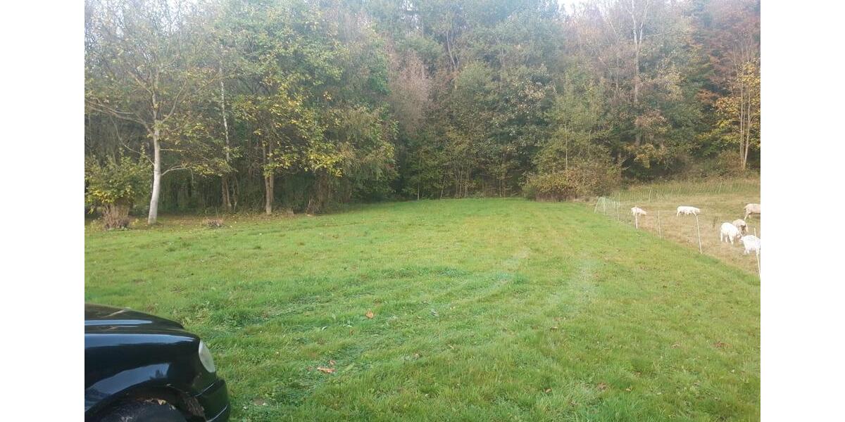 Einfamilienhaus Bodenfelde - 6 Zimmer, 95 m&sup2;, 75.000&euro; | Angebot:27123054