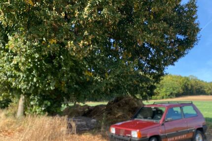 Fiat Panda 112.300 km 11.765 € Göttingen 37081