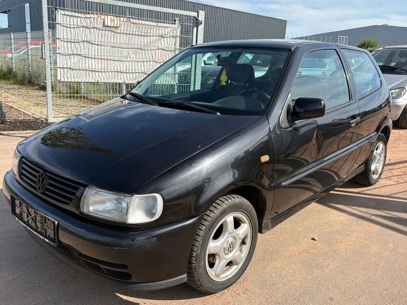 Polo