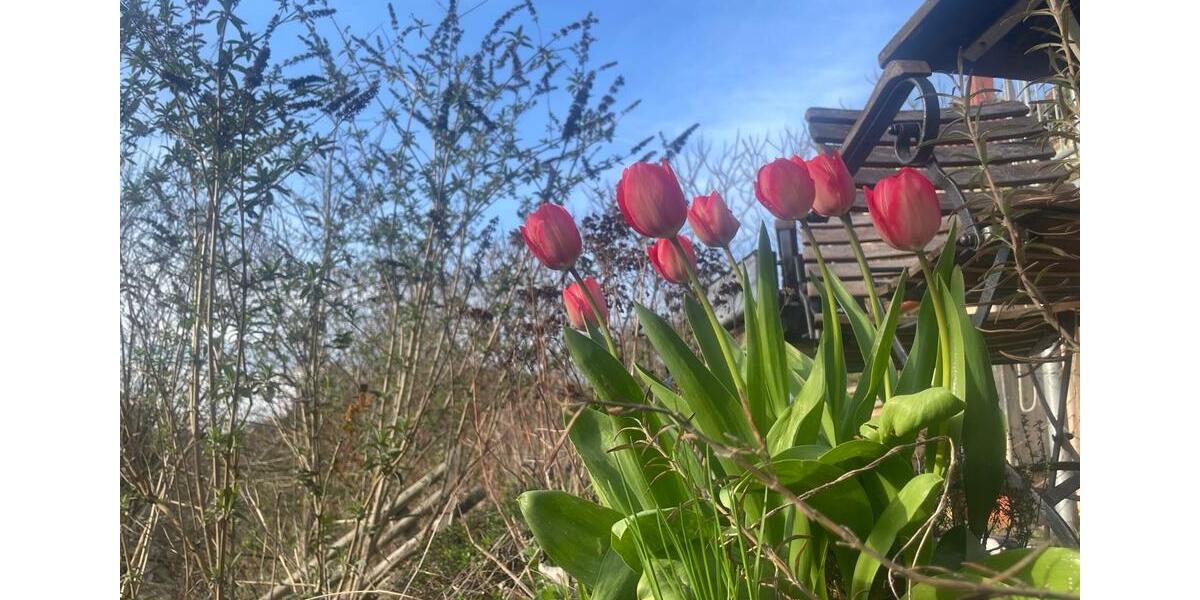 Einfamilienhaus Gleichen - 12 Zimmer, 220 m&sup2;, 330.000&euro; | Angebot:26726147