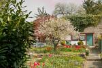 Einfamilienhaus Bad Sooden-Allendorf Allendorf - 3 Zimmer, 90 m&sup2;, 155.000&euro; | Angebot:26235372