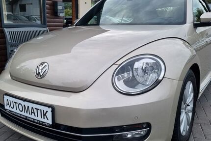 VW Beetle 169.000 km 11.990 € Katlenburg-Lindau 37191