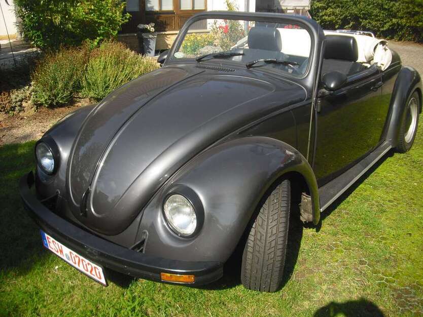 Buggy