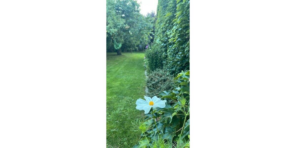 Einfamilienhaus Adelebsen - 2 Zimmer, 176 m&sup2;, 350.000&euro; | Angebot:26765214