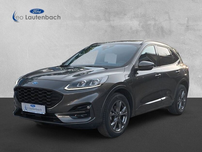 Kuga