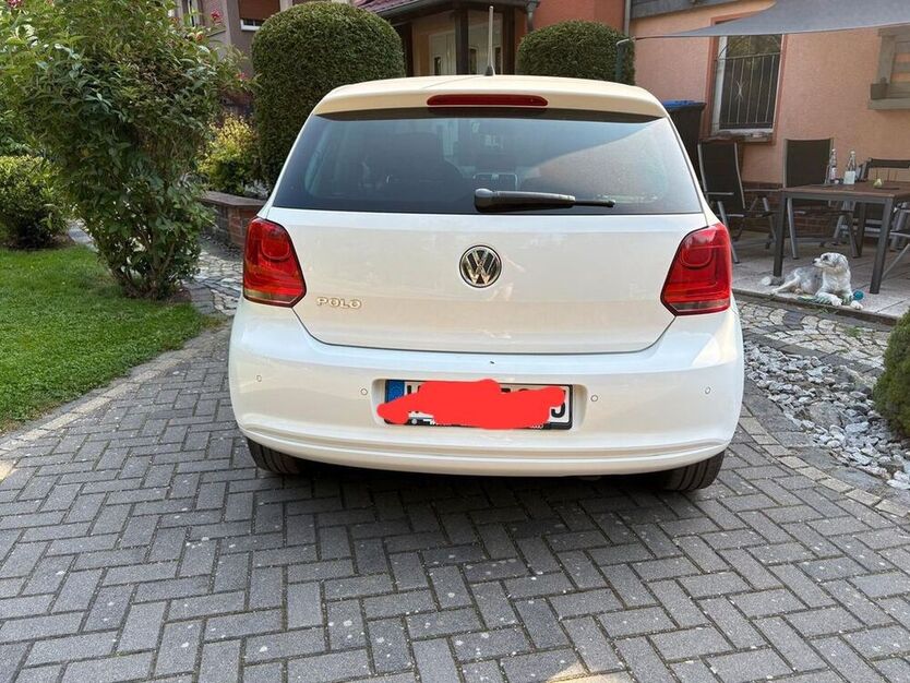 Polo