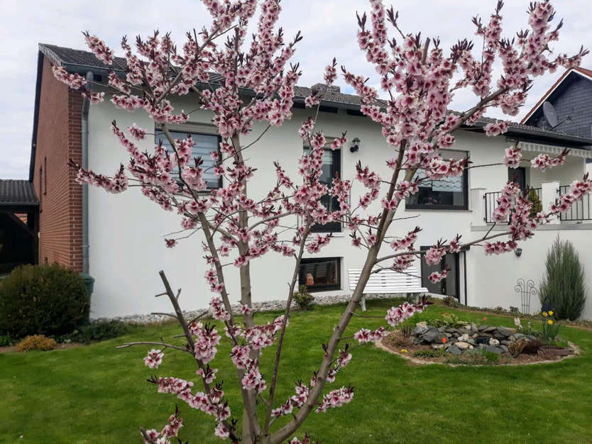Großzügiges Einfamilienhaus mit EinliegerWohnung in ruhiger Lage von Katlenburg-Lindau