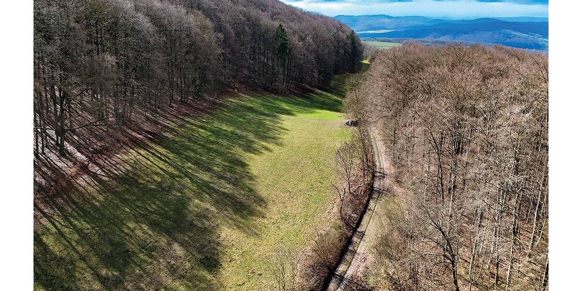 Grundstück Asbach-Sickenberg Sickenberg - 8.000&euro; | Angebot:26246343