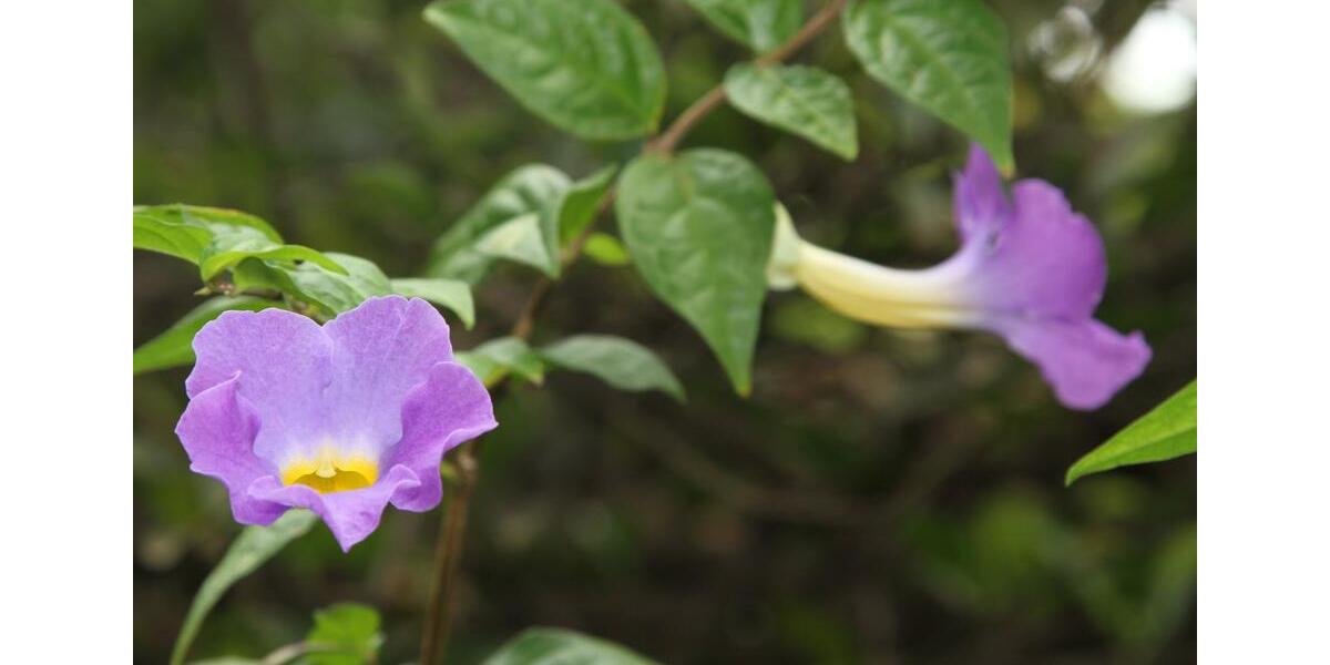 Einfamilienhaus Hann. Münden - 3 Zimmer, 80 m&sup2;, 220&euro; | Angebot:24417106