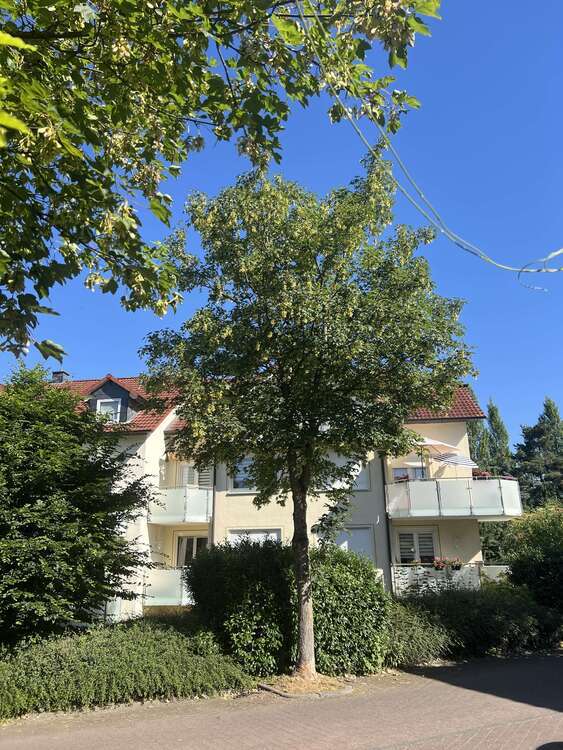 Wohnung zum Kaufen in Dransfeld, Dransfeld 119.000 € 56 m²