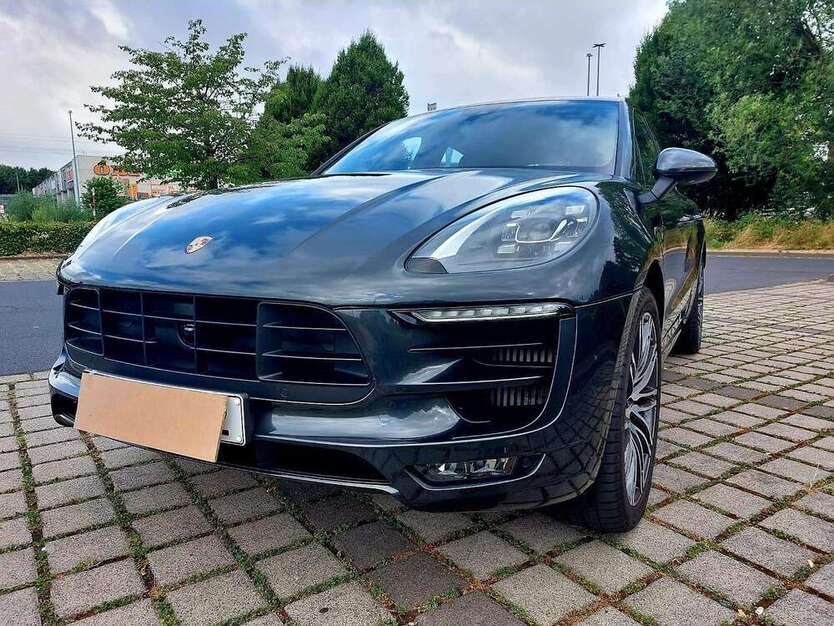 Macan