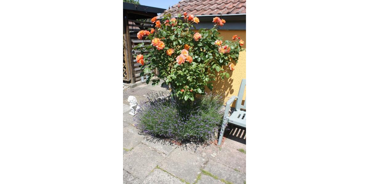 Mehrfamilienhaus, Wohnhaus Rosdorf - 15 Zimmer, 320 m&sup2;, 950.000&euro; | Angebot:24372616