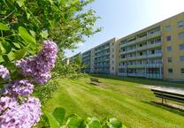 Familienfreundliche Wohnung in Zentrumsnähe