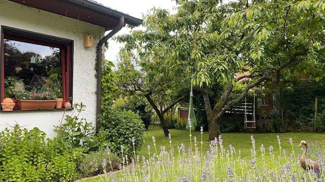 Einfamilienhaus Adelebsen - 2 Zimmer, 176 m&sup2;, 350.000&euro; | Angebot:26765214