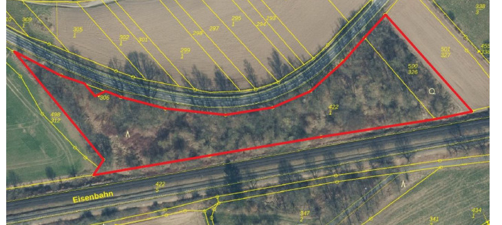 ungepflegte und ggf. belastete Holzungsfläche östlich von Bodenfelde zimmer