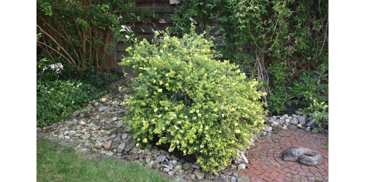 Mehrfamilienhaus, Wohnhaus Rosdorf - 15 Zimmer, 320 m&sup2;, 950.000&euro; | Angebot:24372616