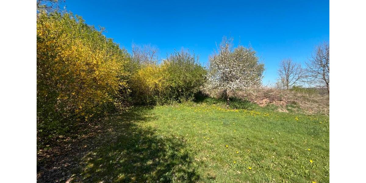 Einfamilienhaus Gieboldehausen - 497.500&euro; | Angebot:23500760