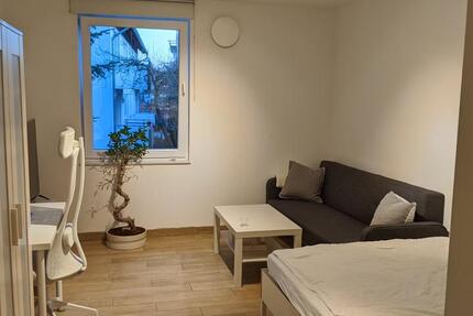 Studentenwohnung 21m² -EBK- zum 01.02. und 01.03.2026 1 zimmer