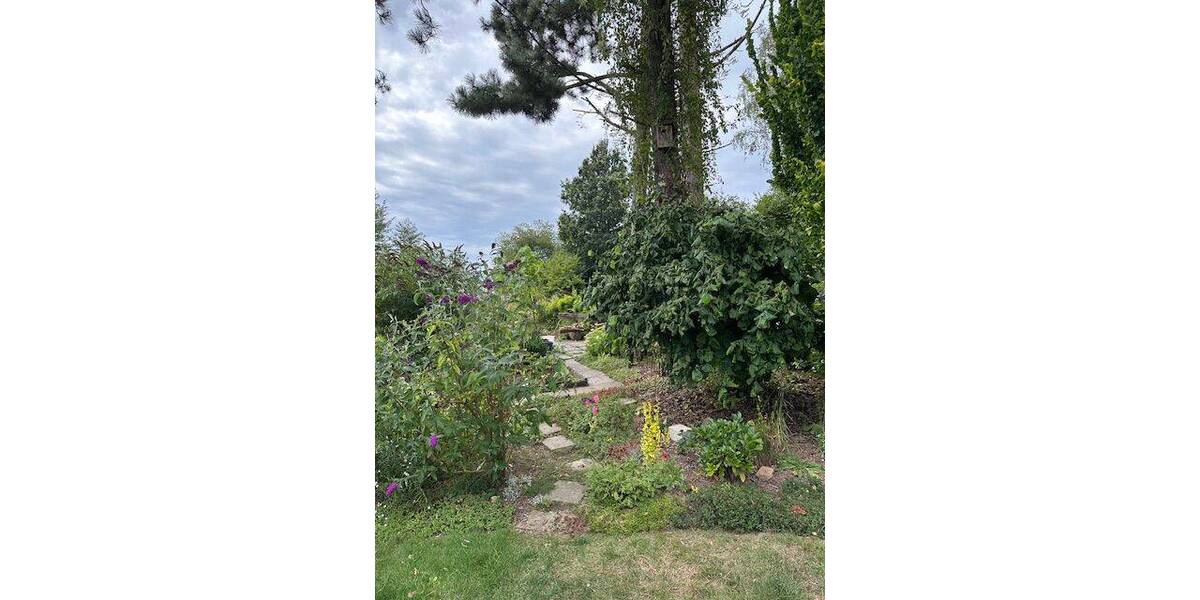 Mehrfamilienhaus, Wohnhaus Uslar Bollensen - 1 Zimmer, 246.000&euro; | Angebot:23967050