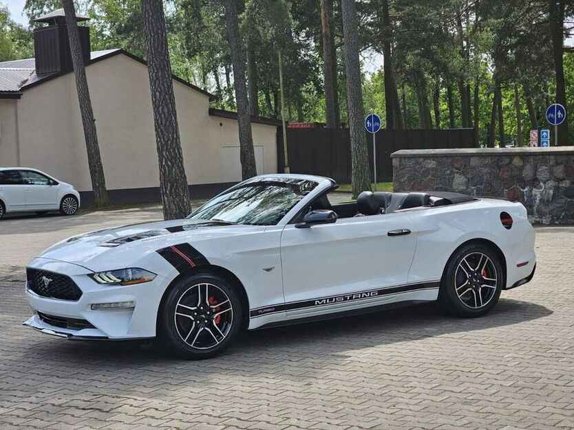 Mustang