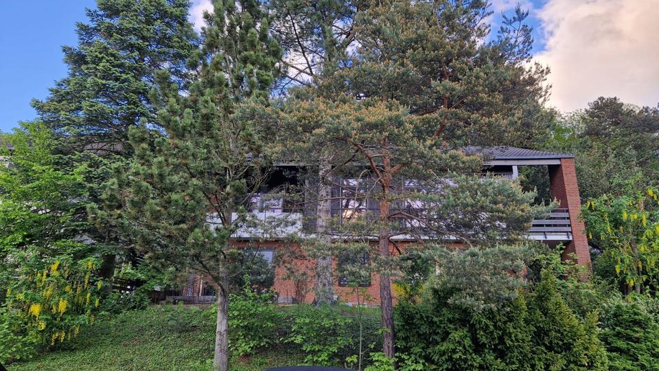 Erdgeschoßwohnung Moringen - 2 Zimmer, 79 m&sup2;, 835&euro; | Angebot:26632668