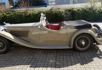 Jaguar Andere