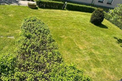 Studio apartmenr 1 zimmer