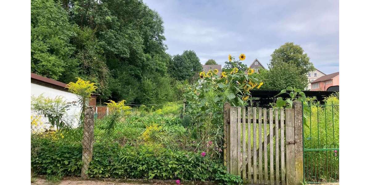 Grundstück Dransfeld - 190.000&euro; | Angebot:24921973