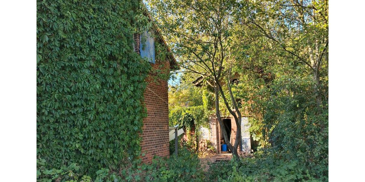 Einfamilienhaus Hattorf am Harz - 25.000&euro; | Angebot:27203167