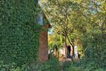 Einfamilienhaus Hattorf am Harz - 25.000&euro; | Angebot:27203167