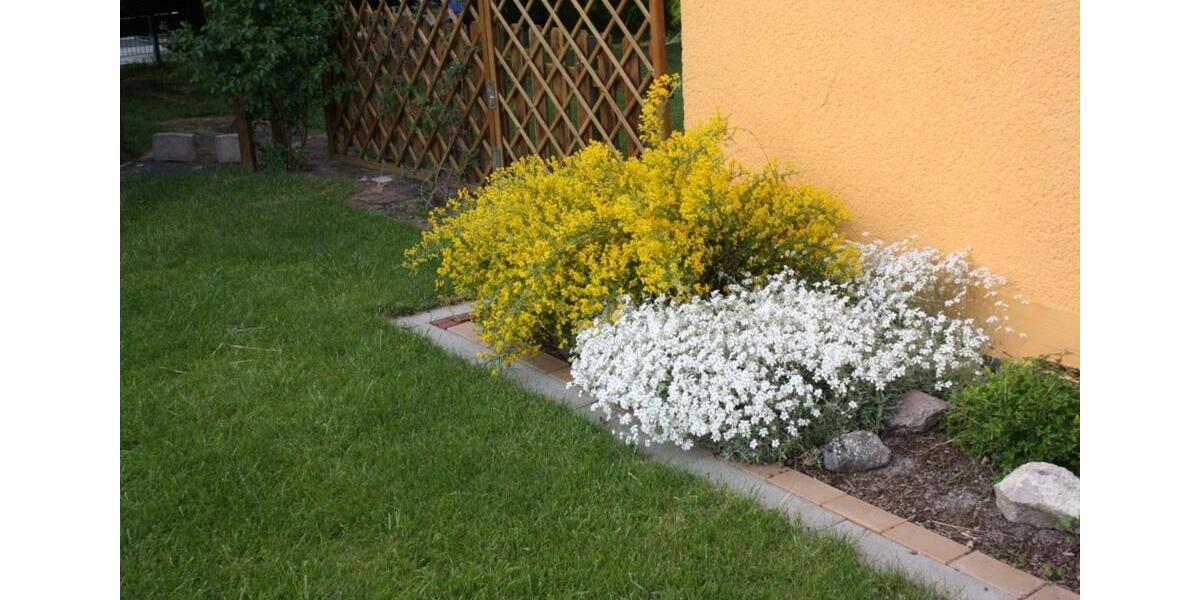 Mehrfamilienhaus, Wohnhaus Rosdorf - 15 Zimmer, 320 m&sup2;, 950.000&euro; | Angebot:24372616