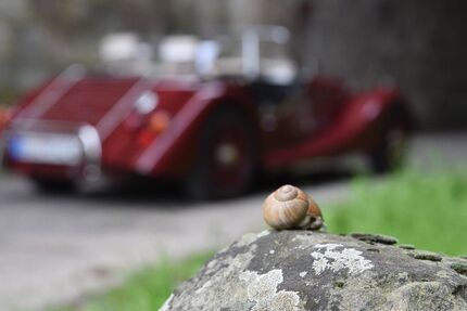 Morgan 4/4 12.500 km 42.500 € Friedland 37133