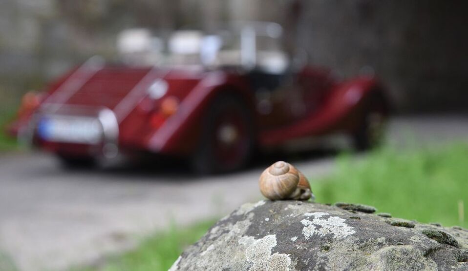 Morgan 4/4 12.500 km 42.500 € Friedland 37133