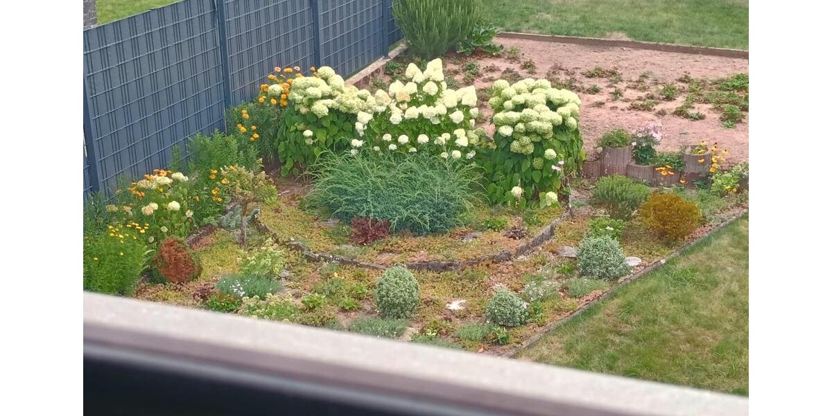 Etagenwohnung Nörten-Hardenberg Hardenberg - 4 Zimmer, 100 m&sup2;, 1.250&euro; | Angebot:24641398